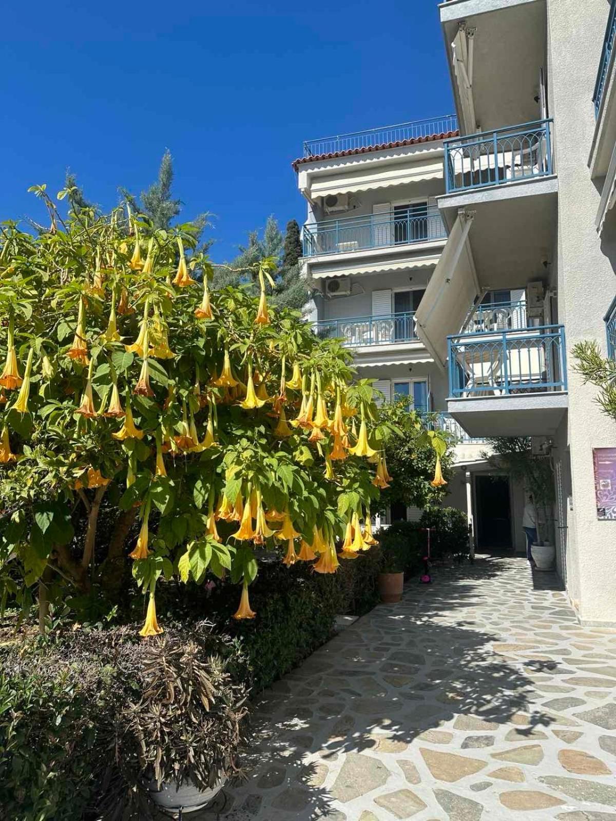Drossinos Studios Poros Town Exterior foto
